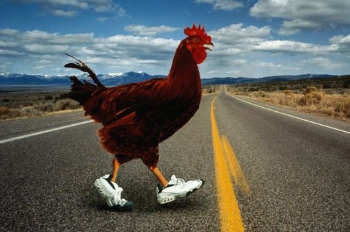 Descubre la Aventura de la Ruta del Pollo en España con Juegos de Casino y Más, juego chicken road